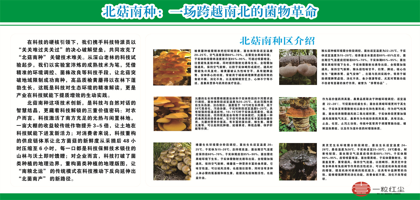 1760086839566311.jpg 1760082098690646.jpg